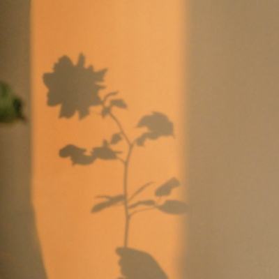 安庆房产信息网截图