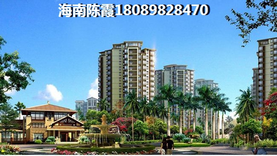 阳光四季城 两居  户型图